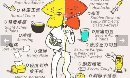 感冒能吃银耳吗